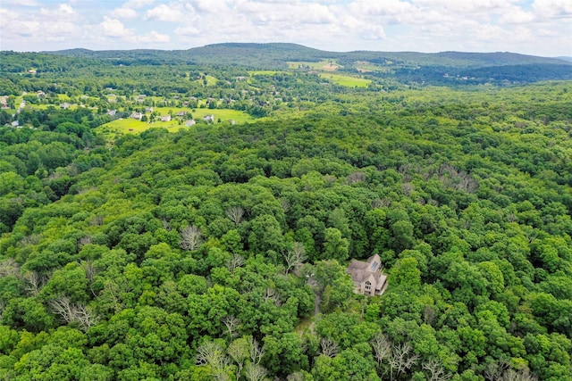12 Wolf Ln, Pleasant Valley, NY 12569 - photo 4