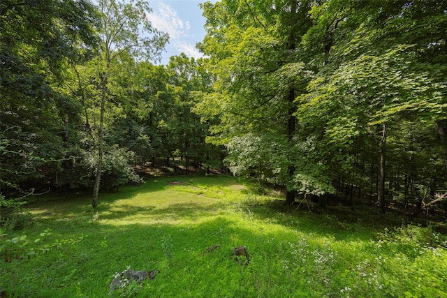 12 Wolf Ln, Pleasant Valley, NY 12569 - photo 41