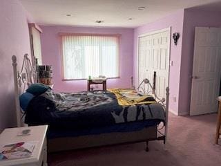 353 Litchfield Ave, Babylon, NY 11702 - bedroom with carpet floors and a closet