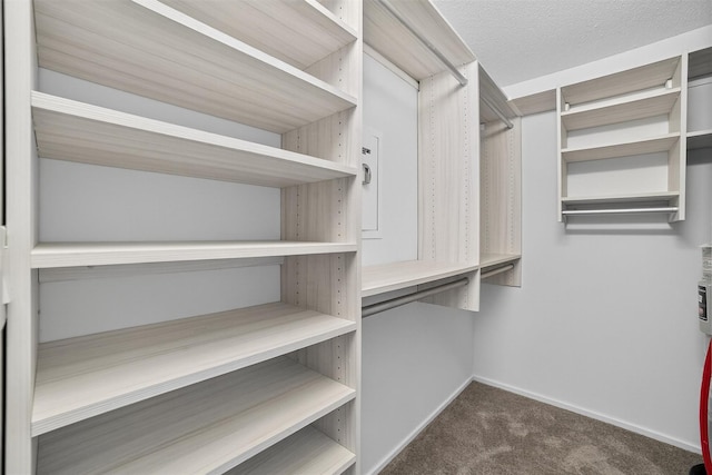 582 Heritage Hls Unit A, Somers, NY 10589 - walk in closet with dark colored carpet