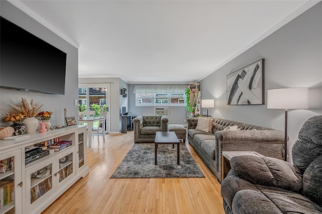 18 Ivy St Unit 4A, Farmingdale, NY 11735 - living room with crown molding and light wood finished floors