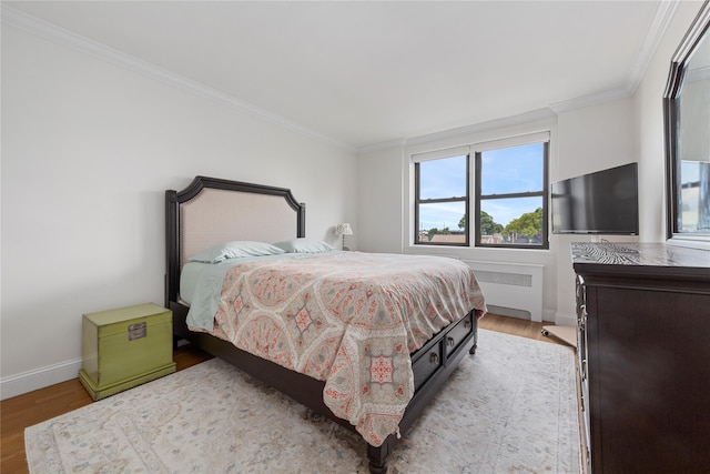 6 Birchwood Ct Unit 4C, Mineola, NY 11501 - bedroom featuring radiator heating unit, multiple windows, crown molding, and light wood-type flooring