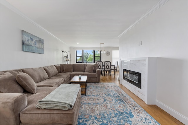 6 Birchwood Ct Unit 4C, Mineola, NY 11501 - living room with ornamental molding and light wood-style flooring
