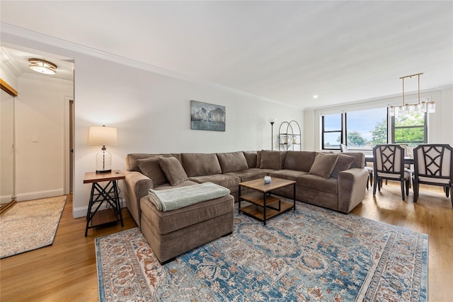 6 Birchwood Ct Unit 4C, Mineola, NY 11501 - living room featuring wood finished floors and ornamental molding