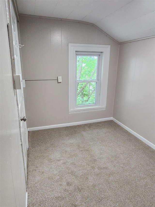 117 Talmadge St, Poughkeepsie, NY 12601 - empty room featuring carpet flooring and lofted ceiling
