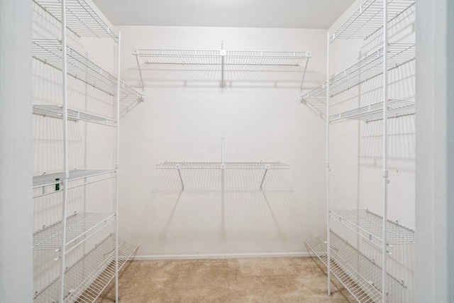 914 Fenway Rd, Saint James, NY 11780 - spacious closet with carpet
