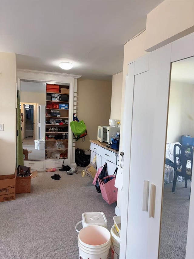 14450 38th Ave Unit B5, Flushing, NY 11354 - playroom featuring carpet floors