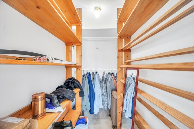 32 Clarkson Rd, Centereach, NY 11720 - spacious closet with carpet floors