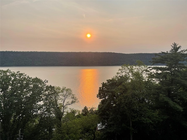 1020 Warburton Ave Unit 9C, Yonkers, NY 10701 - water view featuring a heavily wooded area