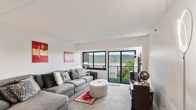 1020 Warburton Ave Unit 9C, Yonkers, NY 10701 - living room with carpet flooring