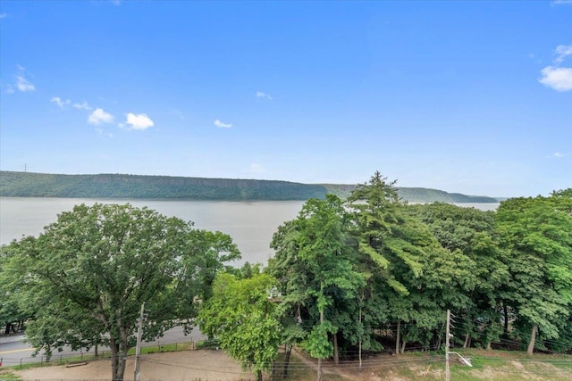 1020 Warburton Ave Unit 9C, Yonkers, NY 10701 - water view