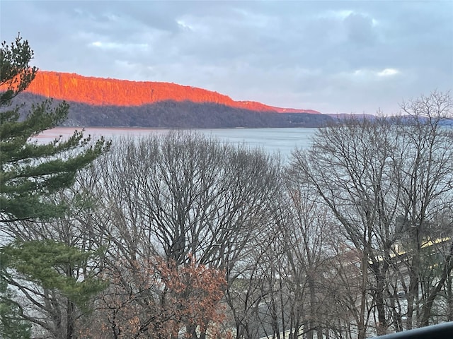 1020 Warburton Ave Unit 9C, Yonkers, NY 10701 - view of mountain background featuring a large body of water