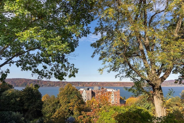 38 Oliphant Ave Unit 7, Dobbs Ferry, NY 10522 - photo 15