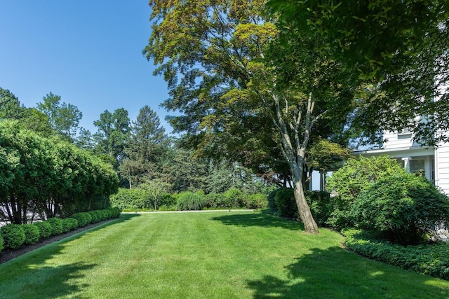 38 Oliphant Ave Unit 7, Dobbs Ferry, NY 10522 - photo 20