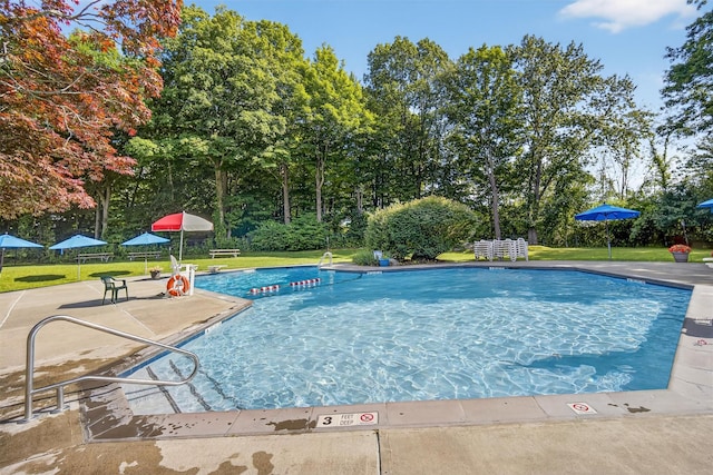 1001 Village Dr, Brewster, NY 10509 - photo 25