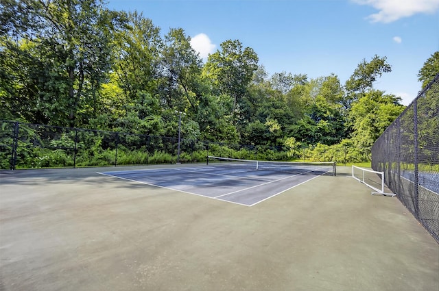 1001 Village Dr, Brewster, NY 10509 - photo 28