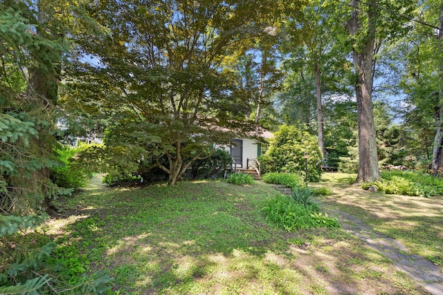 1467 Rte 292, Holmes, NY 12531 - view of yard