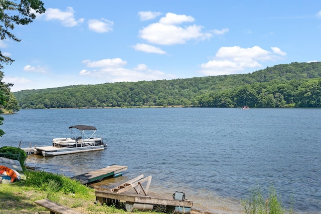 1467 Rte 292, Holmes, NY 12531 - dock area featuring a forest view and a water view