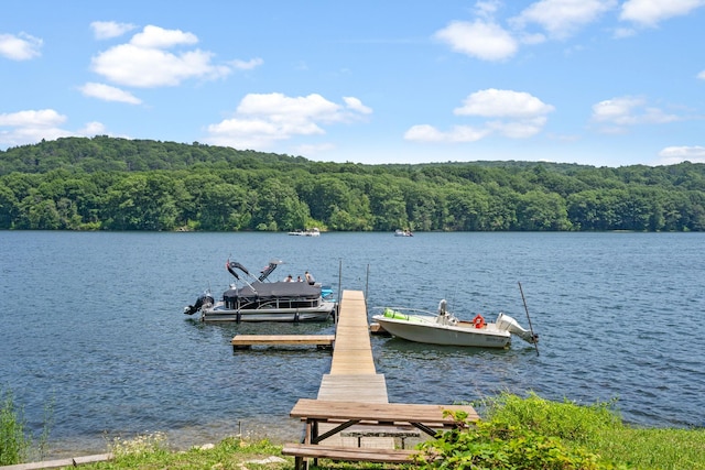 1467 Rte 292, Holmes, NY 12531 - dock area featuring a wooded view and a water view