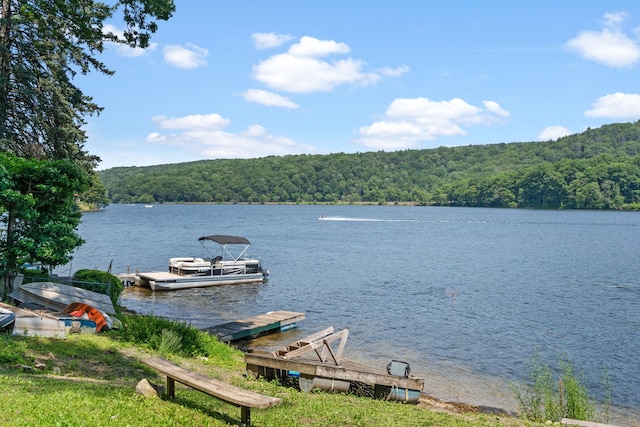 1467 Rte 292, Holmes, NY 12531 - dock with a forest view and a water view