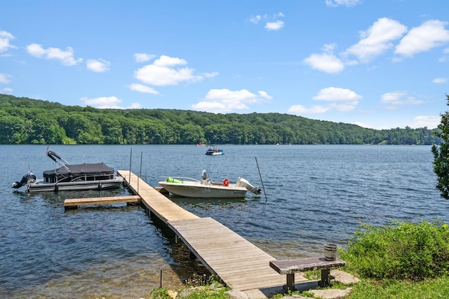 1467 Rte 292, Holmes, NY 12531 - dock area featuring a forest view and a water view