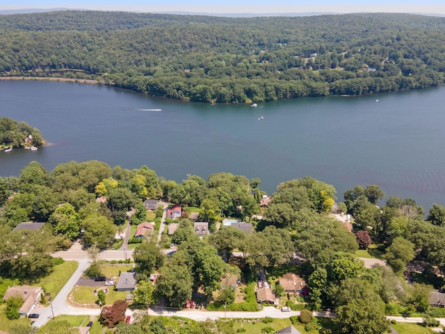 1467 Rte 292, Holmes, NY 12531 - drone / aerial view of a heavily wooded area and a large body of water