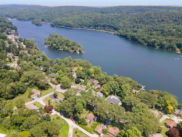 1467 Rte 292, Holmes, NY 12531 - aerial view of a large body of water