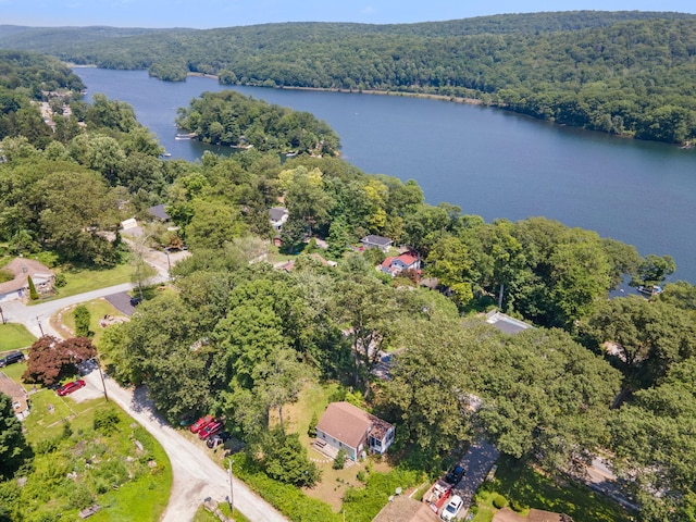 1467 Rte 292, Holmes, NY 12531 - aerial view of a nearby body of water