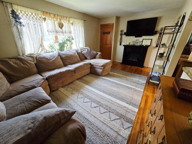 356 Montgomery Ave, West Babylon, NY 11704 - living room featuring wood finished floors and a fireplace