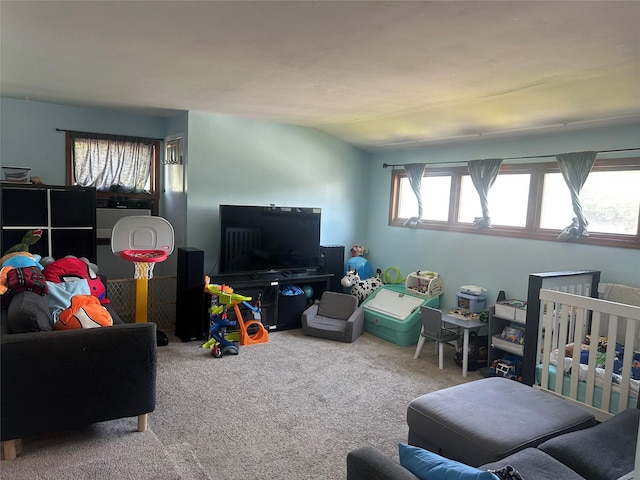 356 Montgomery Ave, West Babylon, NY 11704 - carpeted living area featuring vaulted ceiling