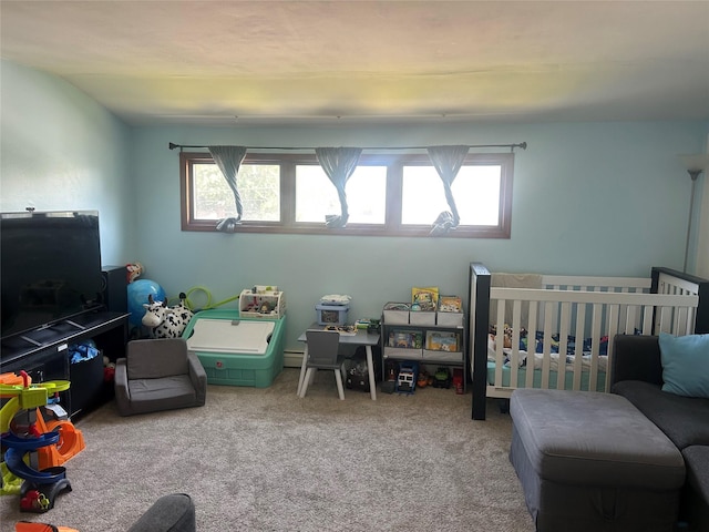 356 Montgomery Ave, West Babylon, NY 11704 - rec room with plenty of natural light and carpet flooring