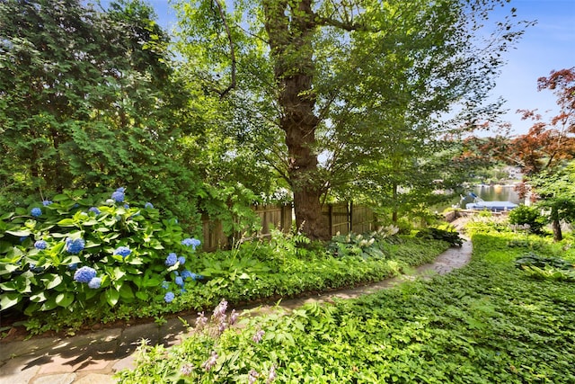 13 Tamarack Rd, Mahopac, NY 10541 - photo 11