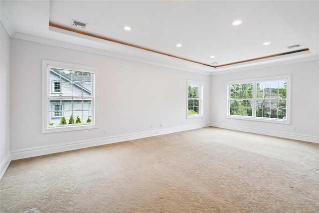 10 Roseanne Dr, North Hills, NY 11576 - photo 33