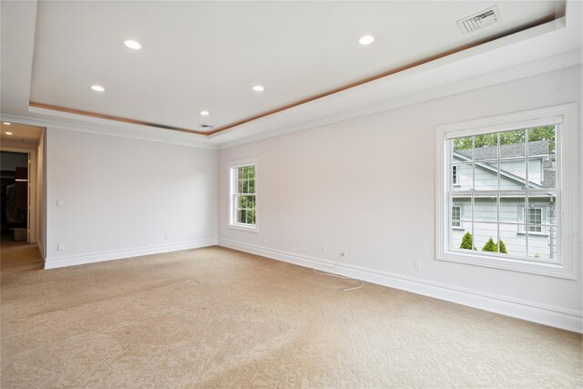 10 Roseanne Dr, North Hills, NY 11576 - photo 35