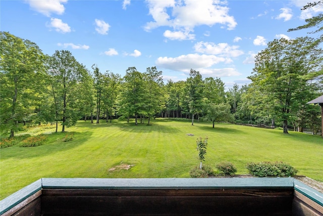 10 May Knl, Dover Plains, NY 12522 - view of grassy yard