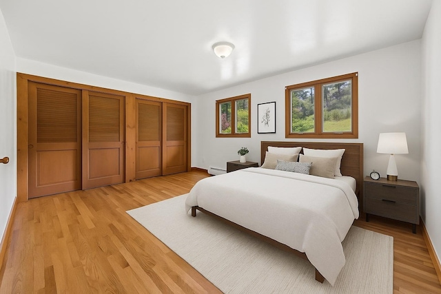 10 May Knl, Dover Plains, NY 12522 - bedroom with light wood-style flooring, a closet, and baseboard heating