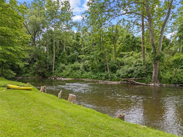 10 May Knl, Dover Plains, NY 12522 - water view