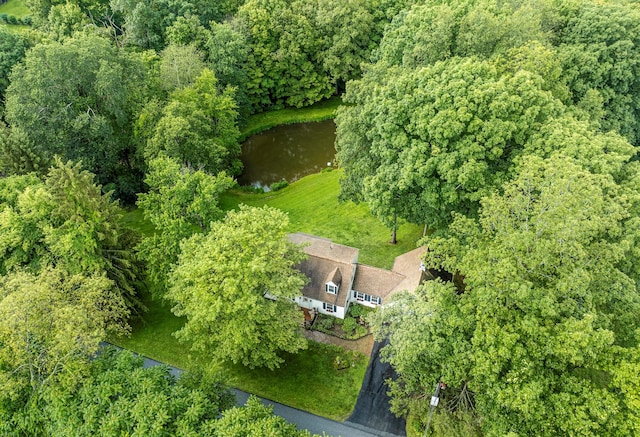 979 Duell Rd, Stanfordville, NY 12581 - view from above of property with a nearby body of water and a heavily wooded area
