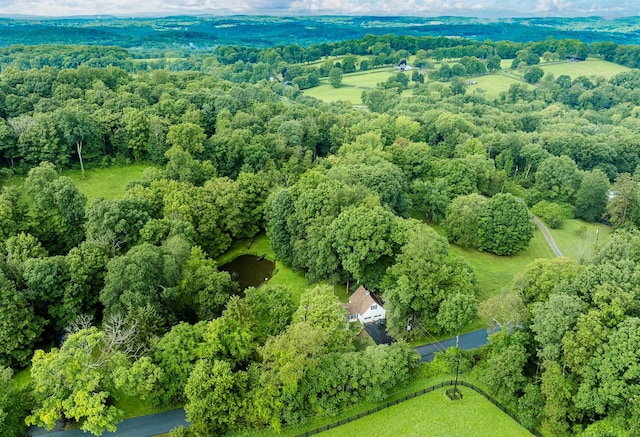 979 Duell Rd, Stanfordville, NY 12581 - aerial view of a heavily wooded area