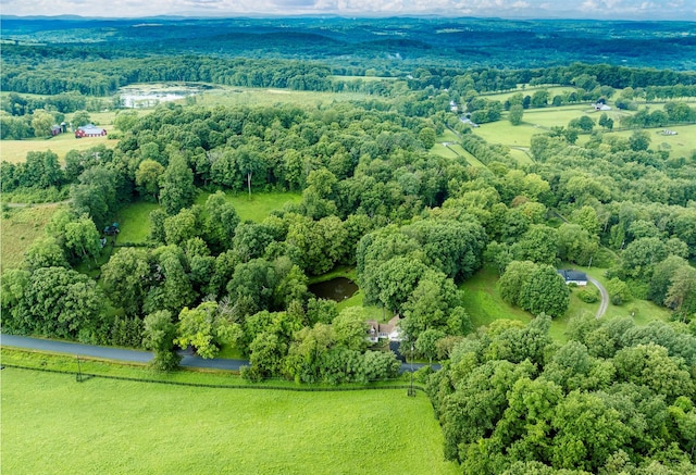 979 Duell Rd, Stanfordville, NY 12581 - aerial view of a forest