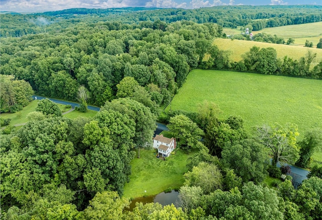 979 Duell Rd, Stanfordville, NY 12581 - overview of rural landscape featuring a nearby body of water and a heavily wooded area