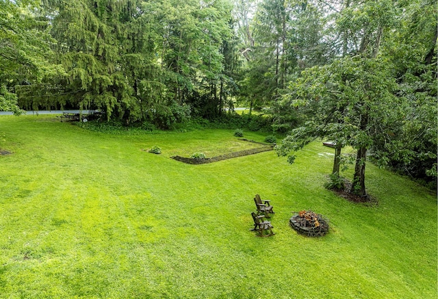 979 Duell Rd, Stanfordville, NY 12581 - view of grassy yard featuring a fire pit and a wooded view