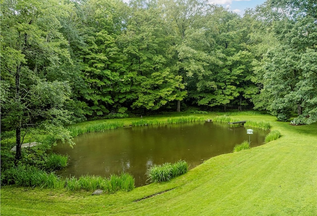 979 Duell Rd, Stanfordville, NY 12581 - water view with a heavily wooded area
