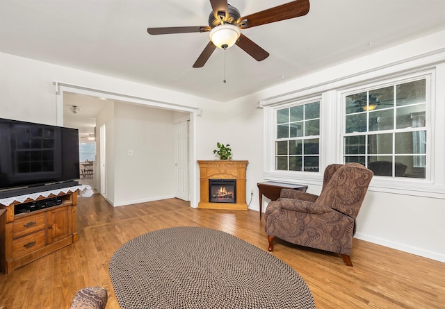 979 Duell Rd, Stanfordville, NY 12581 - living room featuring light wood-style flooring, a warm lit fireplace, and a ceiling fan