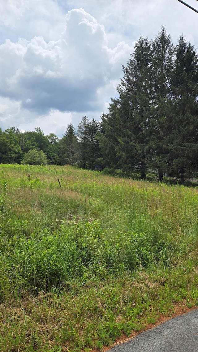 Old White Lake Tpke, Bethel, NY 12720 - photo 6