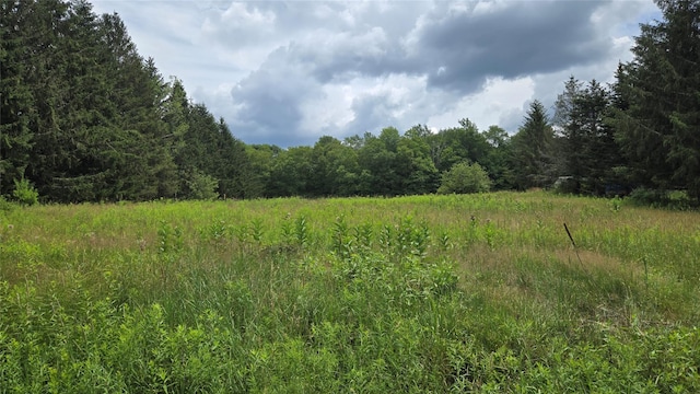 Old White Lake Tpke, Bethel, NY 12720 - photo 1