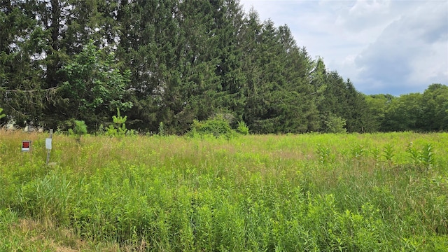 Old White Lake Tpke, Bethel, NY 12720 - photo 2
