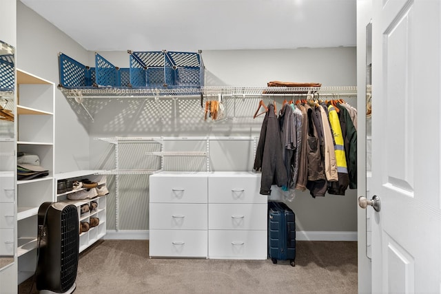 9 Grandview Ave, Middletown, NY 10940 - spacious closet with carpet flooring