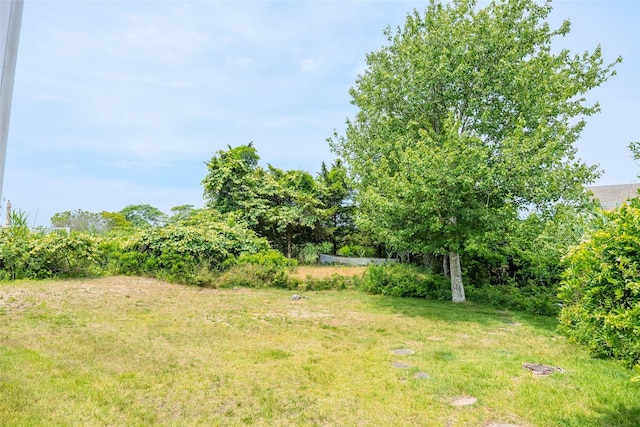 10 Bayview Rd, Remsenburg, NY 11960 - view of yard