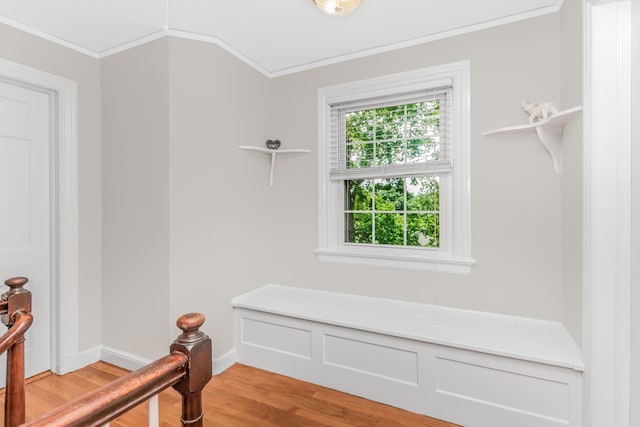 10 Huntington Dr, Yonkers, NY 10704 - photo 17